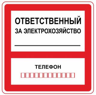 Табличка "Ответственный за электрохозяйство" 200х200 /самокл.